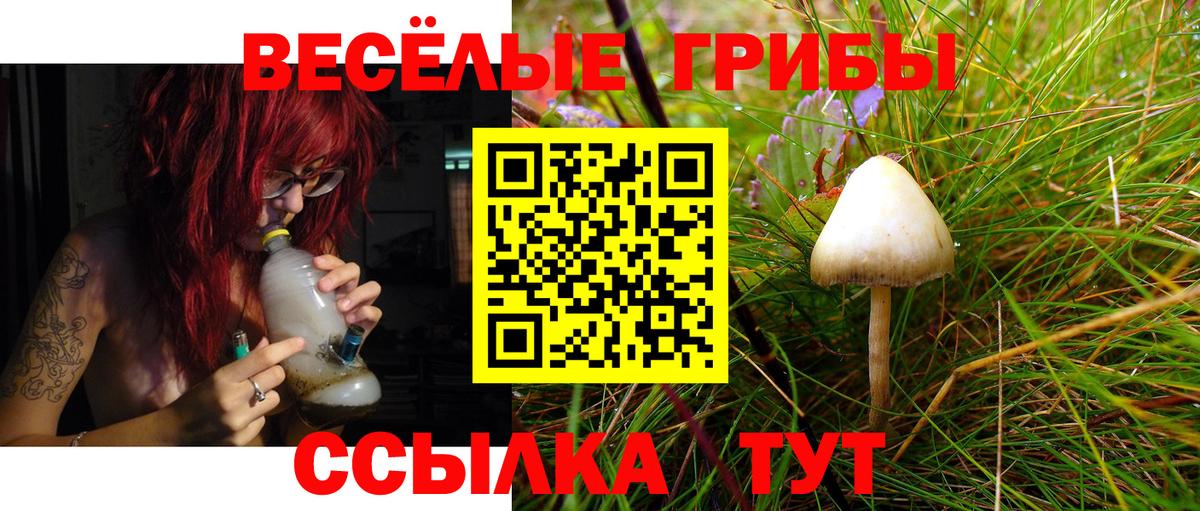 Псилоцибиновые грибы ЛСД  Вход с VPN  Псилоцибиновые грибы MAGIC MUSHROOMS  Белово 